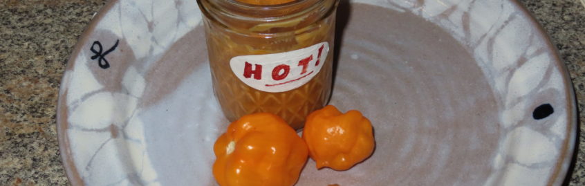 Habanero Sauce